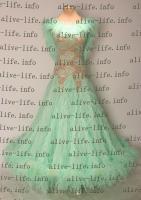 WB-3168　スペアミント