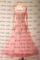 WB-3922　シュガーピンク