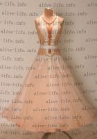 WB-3451　　シャンパン