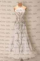 MST-3528　ホワイト　USサイズ 6-8