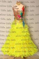 WB-3229　サシーイエロー