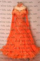 WB-2951　オレンジ