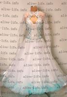 WB-2947　ホワイト