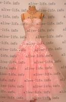 WB-2823　シュガーピンク