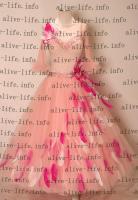 WB-3008　シュガーピンク