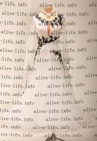 WB-3937　ホワイト