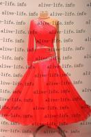 WB-3981　フルオレッド