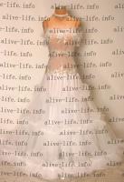 WB-3023　ホワイト