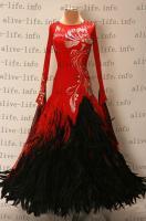 WB-3838　レッド　US4