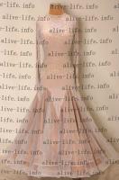 WB-3041　ホワイト+ゴールド