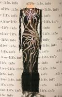 MST-369　ブラック　USサイズ6　