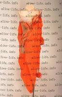 MST-375　オレンジ　USサイズ4　