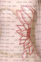 WB-2819　ホワイト